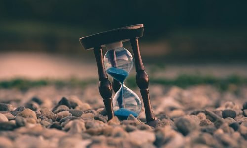 aron-visuals-BXOXnQ26B7o-unsplash (1)